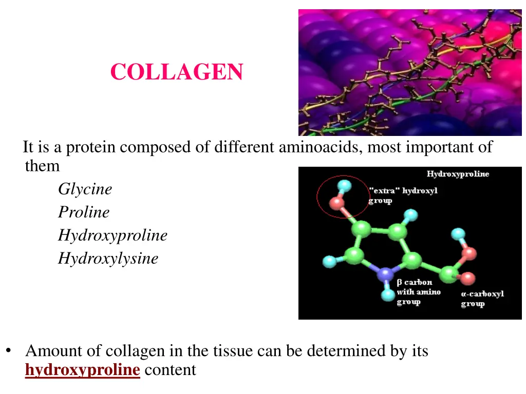 collagen