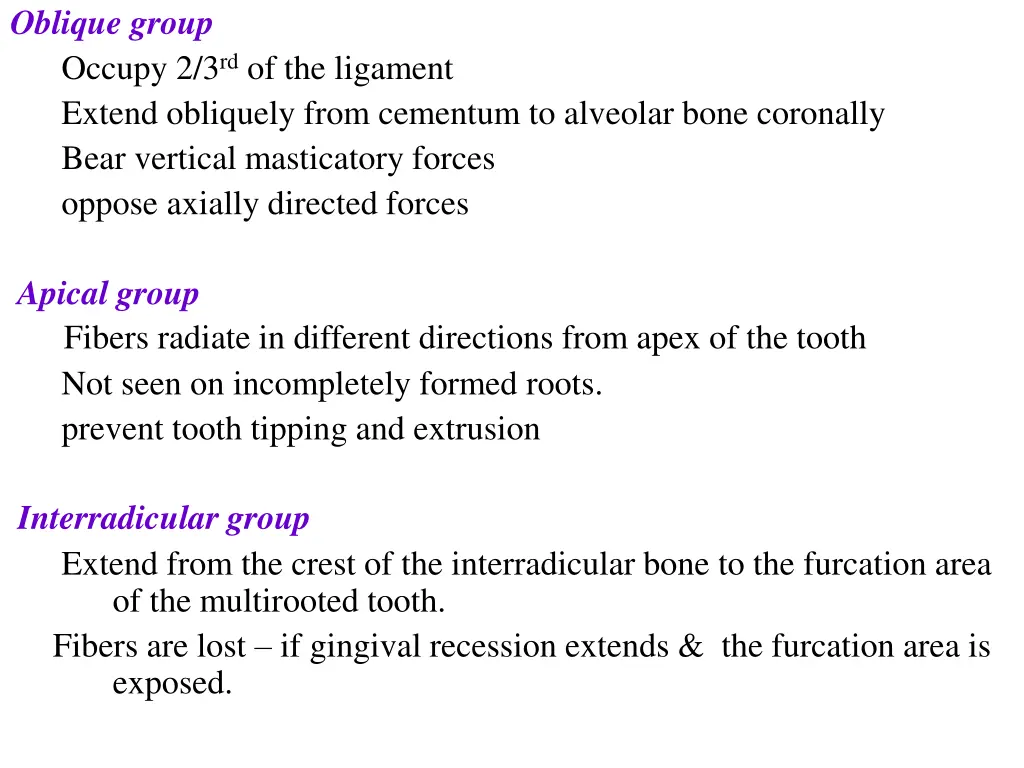 oblique group occupy 2 3 rd of the ligament