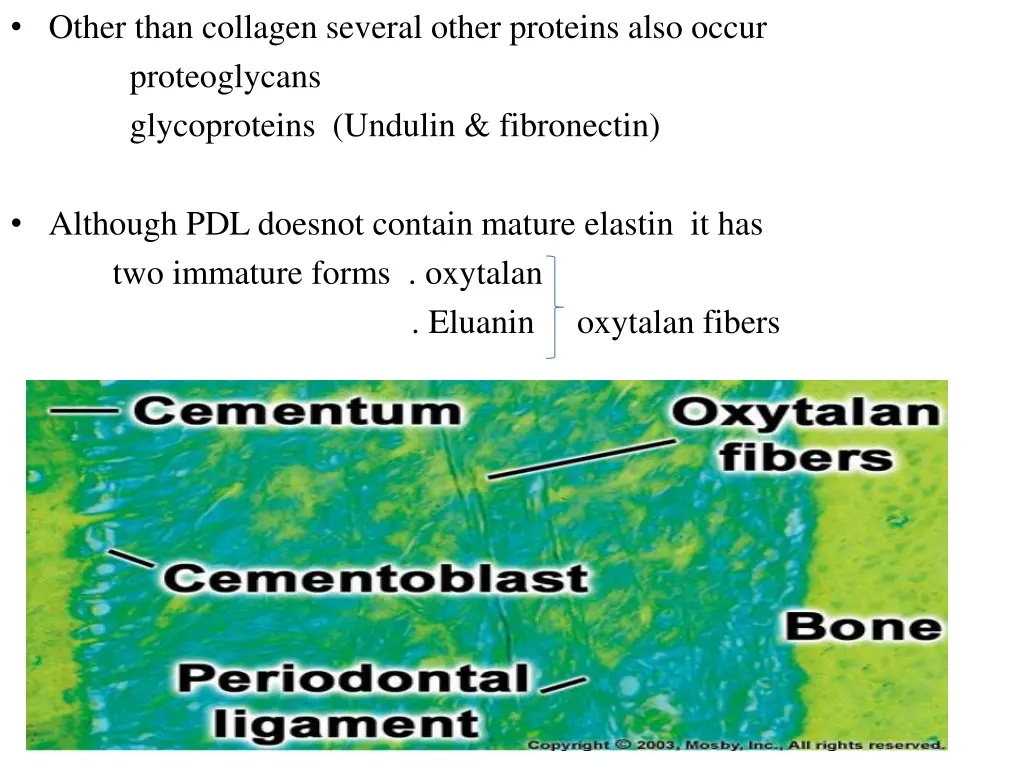 other than collagen several other proteins also