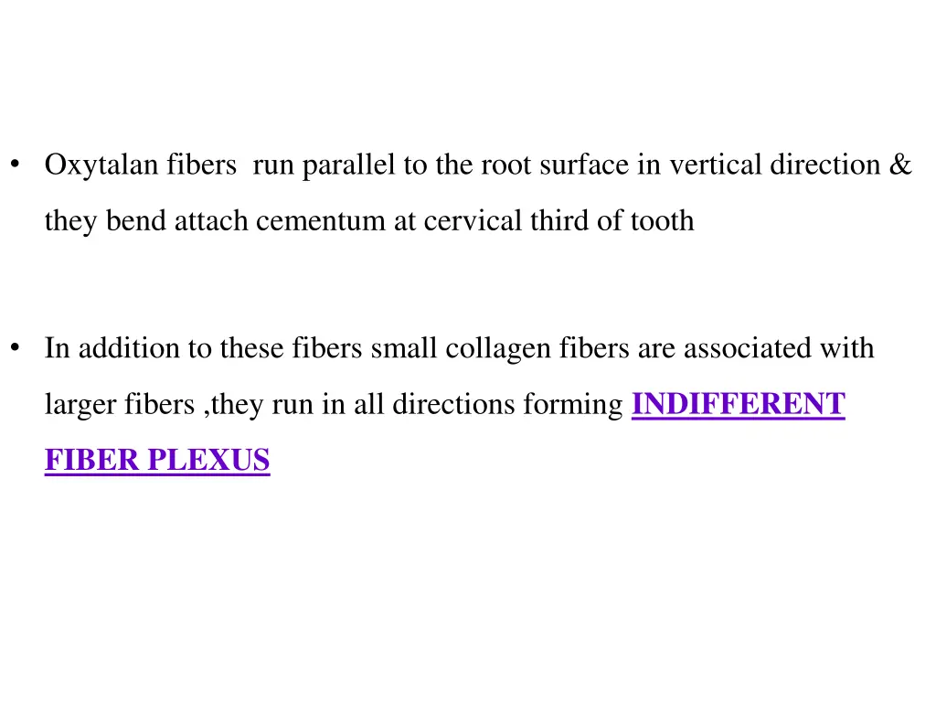 oxytalan fibers run parallel to the root surface