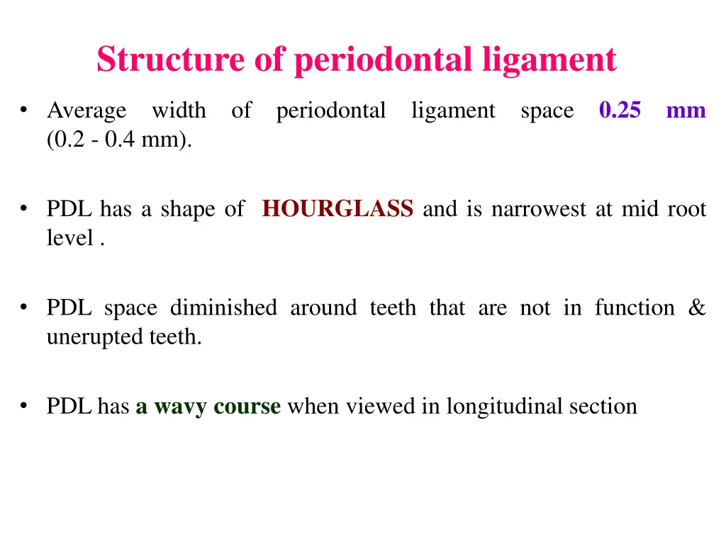 structure of periodontal ligament