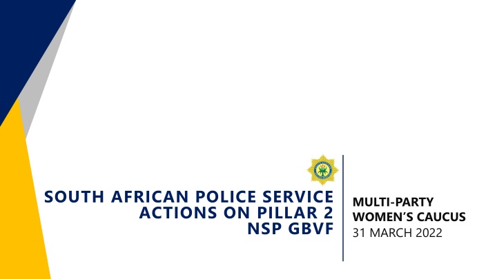 south african police service actions on pillar 2