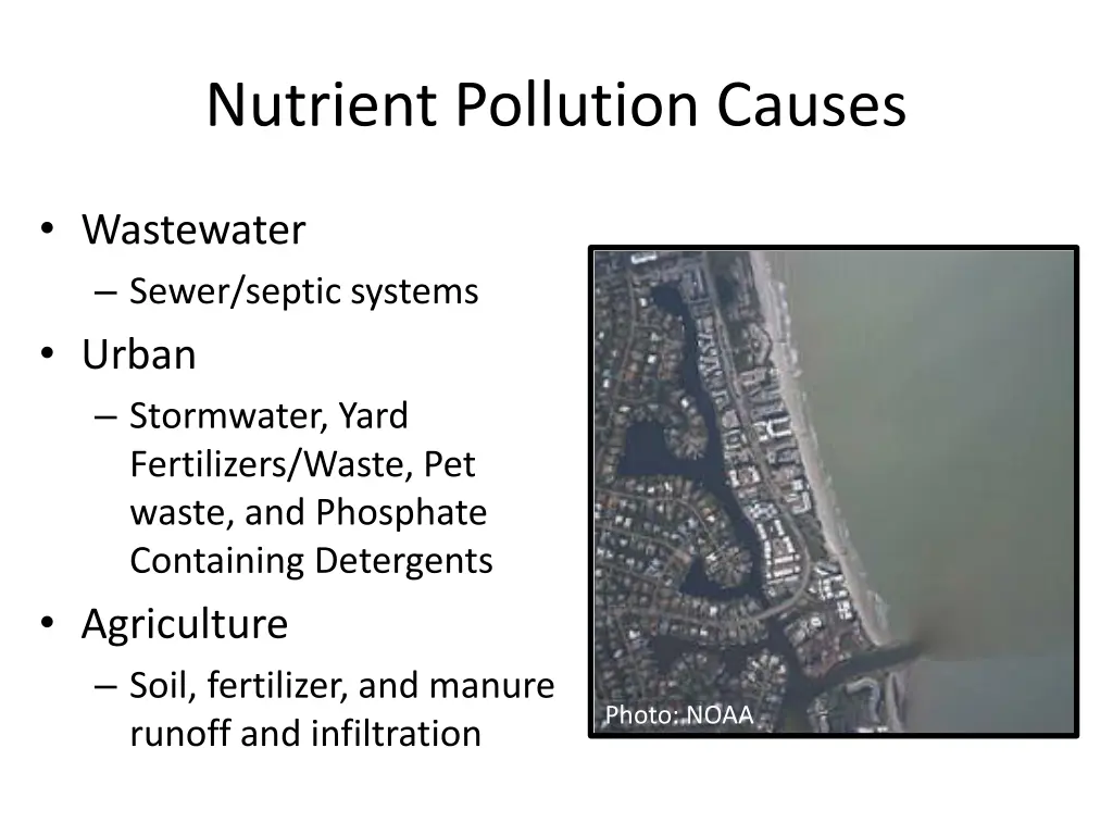 nutrient pollution causes