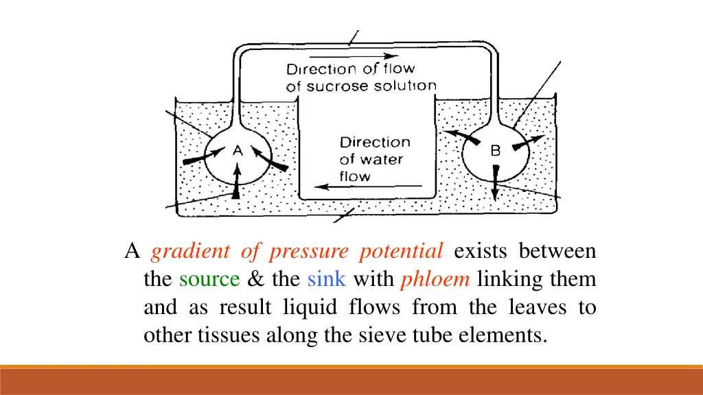 a gradient of pressure potential exists between