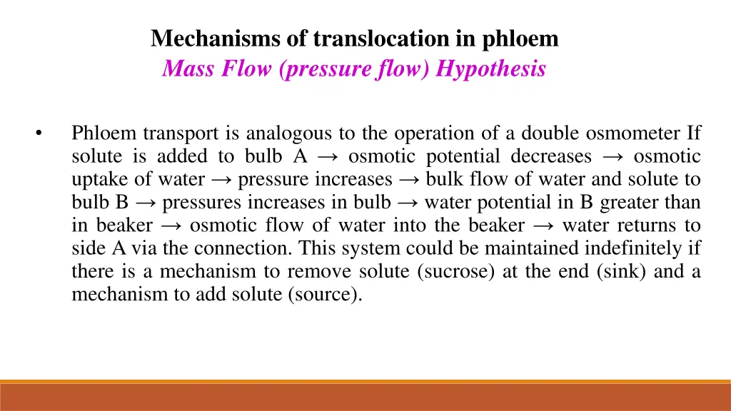 mechanisms of translocation in phloem mass flow