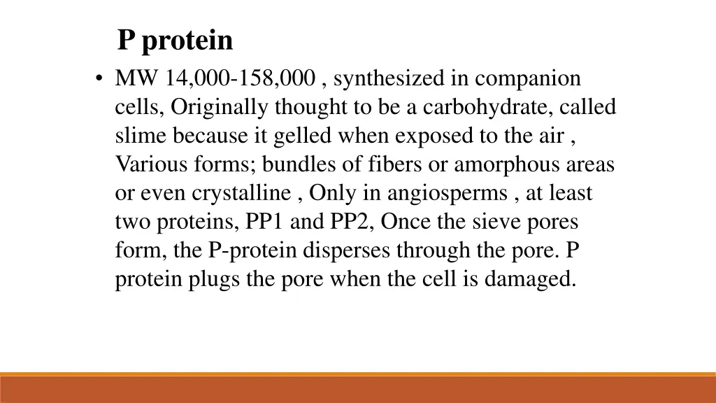 p protein mw 14 000 158 000 synthesized