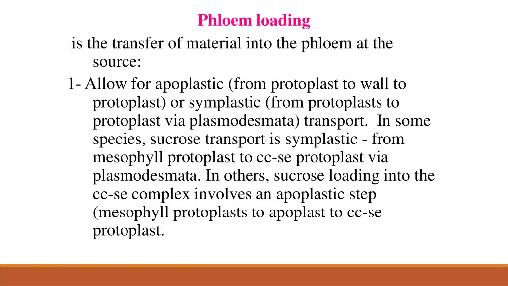 phloem loading