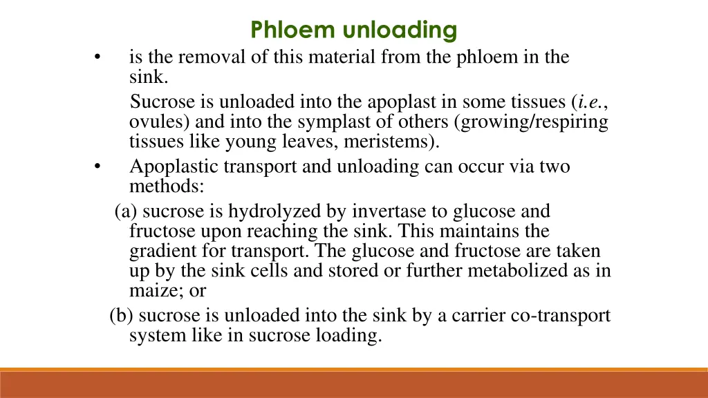 phloem unloading