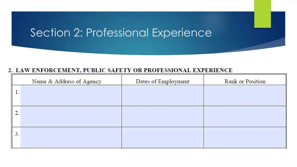 section 2 professional experience