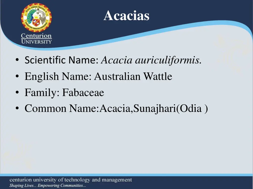 acacias