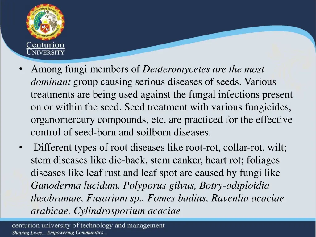 among fungi members of deuteromycetes