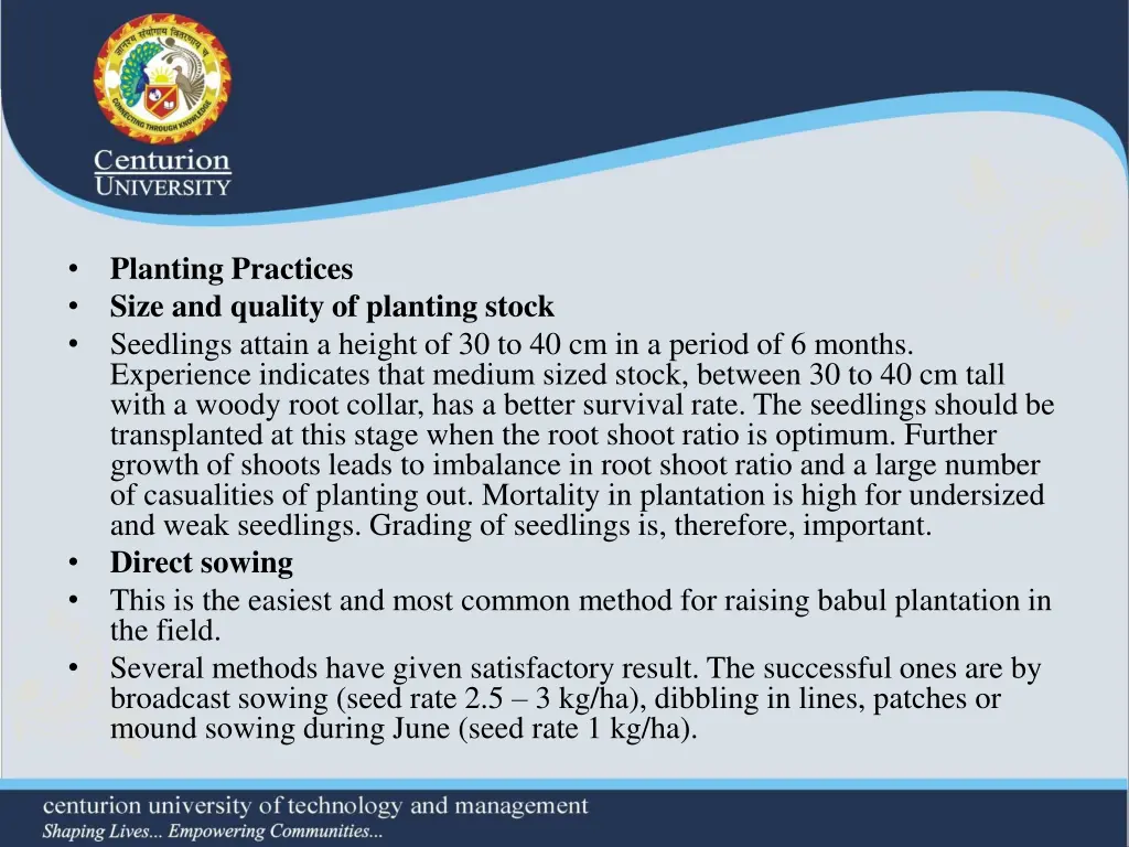 planting practices size and quality of planting