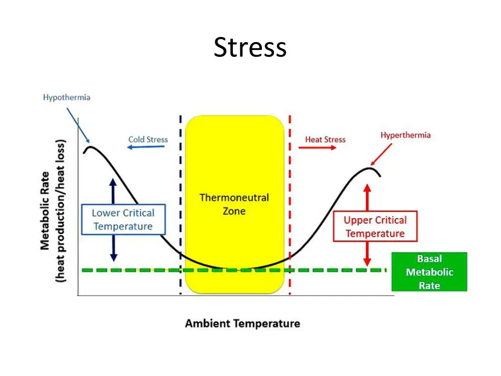 stress 1