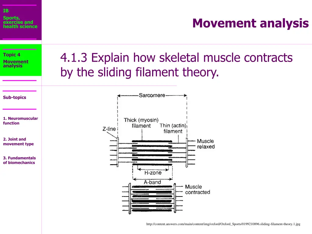 ib sports exercise and health science 14