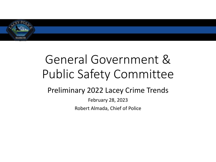 general government public safety committee