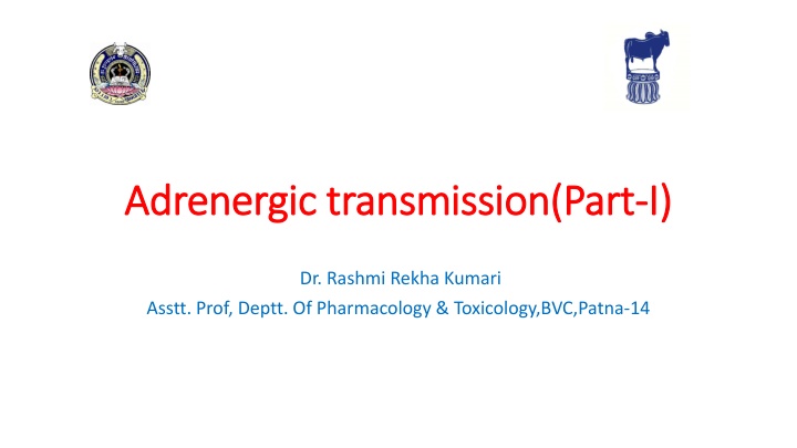 adrenergic transmission part adrenergic