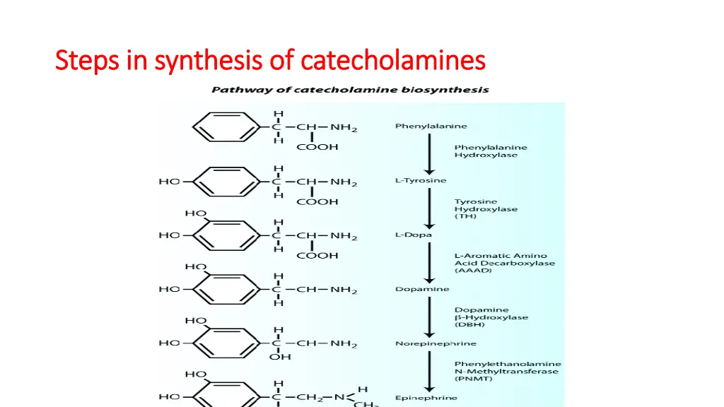 steps in synthesis of steps in synthesis