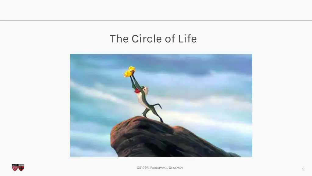 the circle of life