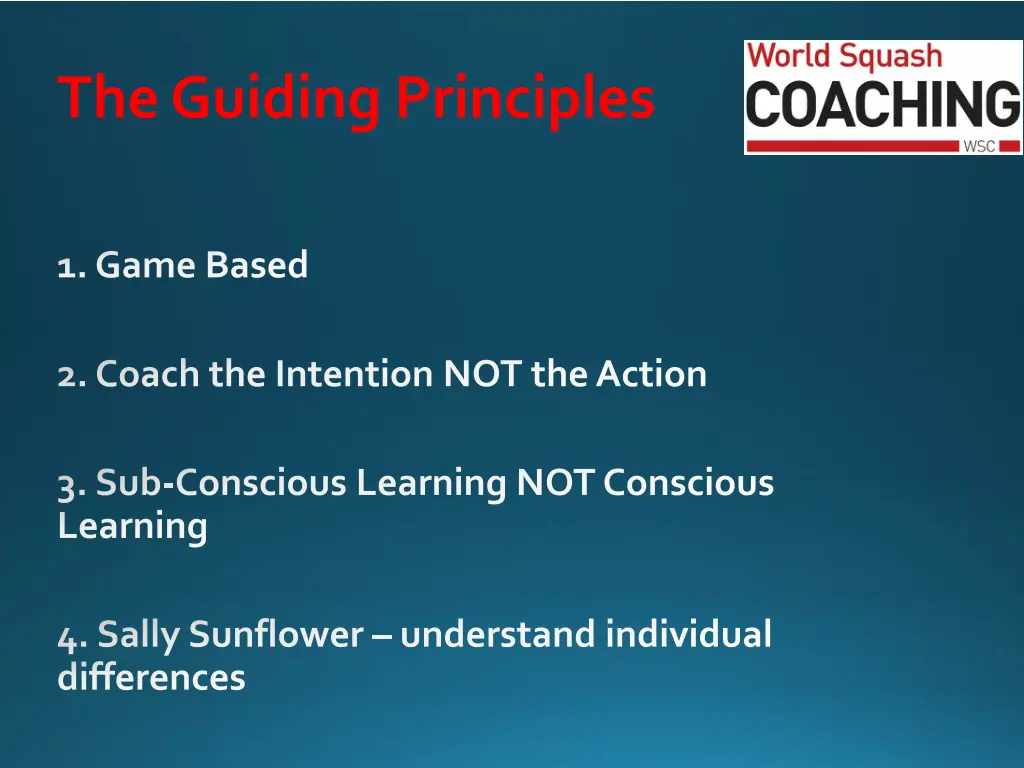 the guiding principles