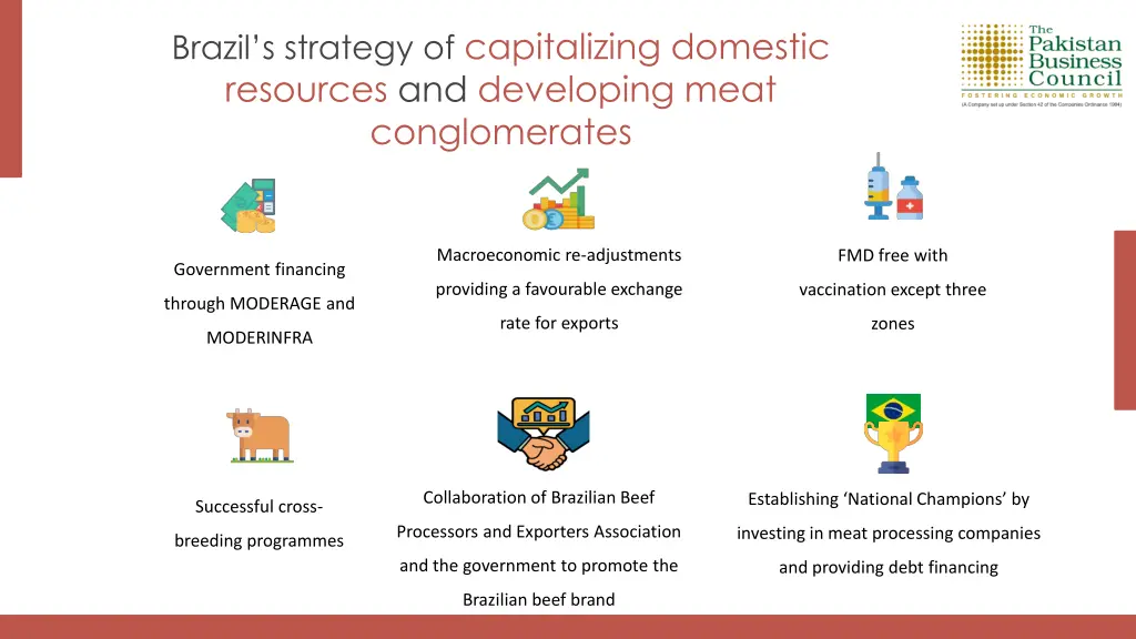 brazil s strategy of capitalizing domestic