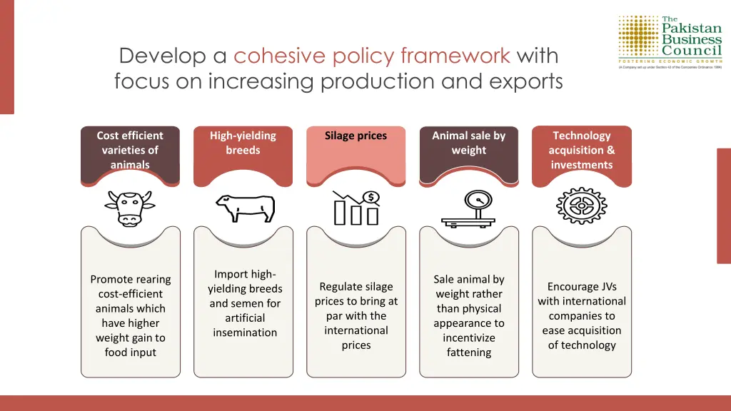 develop a cohesive policy framework with focus 1