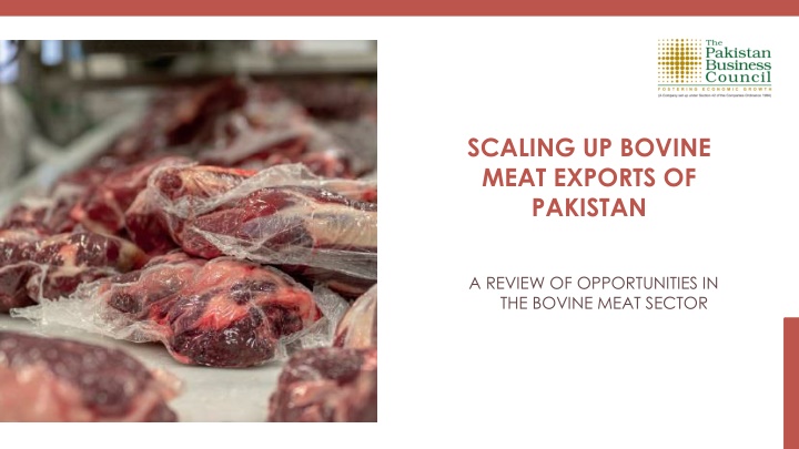 scaling up bovine meat exports of pakistan