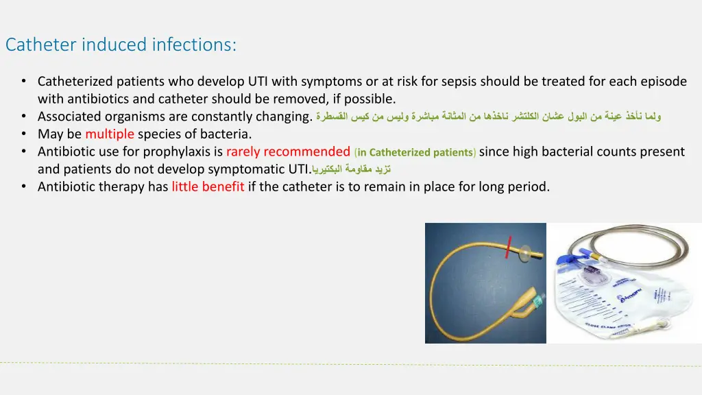 catheter induced infections