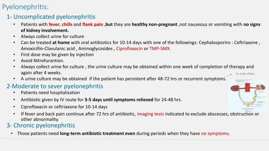 pyelonephritis 1 uncomplicated pyelonephritis