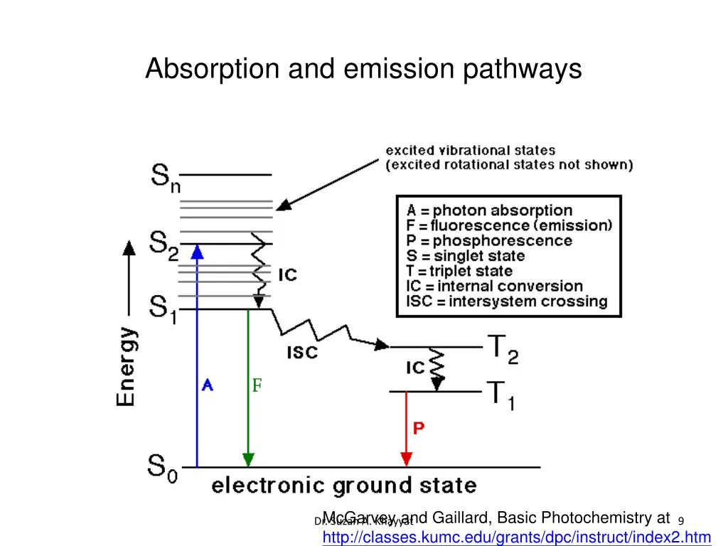 absorption and emission pathways