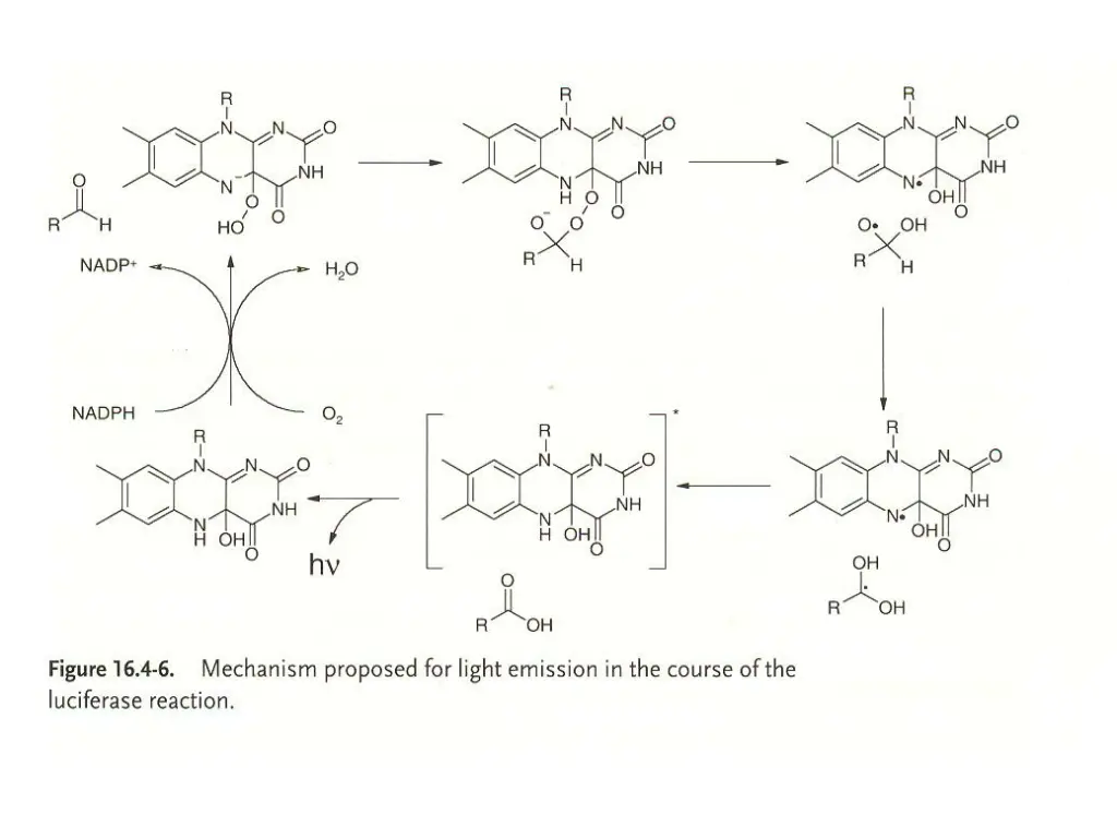 slide7