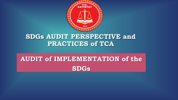 sdgs audit perspective and practices of tca