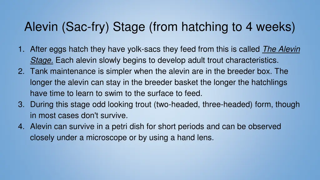 alevin sac fry stage from hatching to 4 weeks