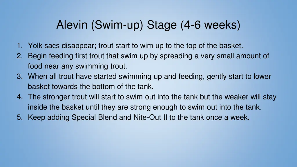 alevin swim up stage 4 6 weeks