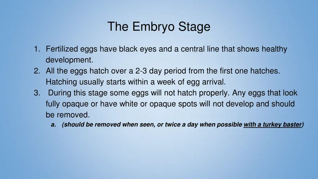 the embryo stage