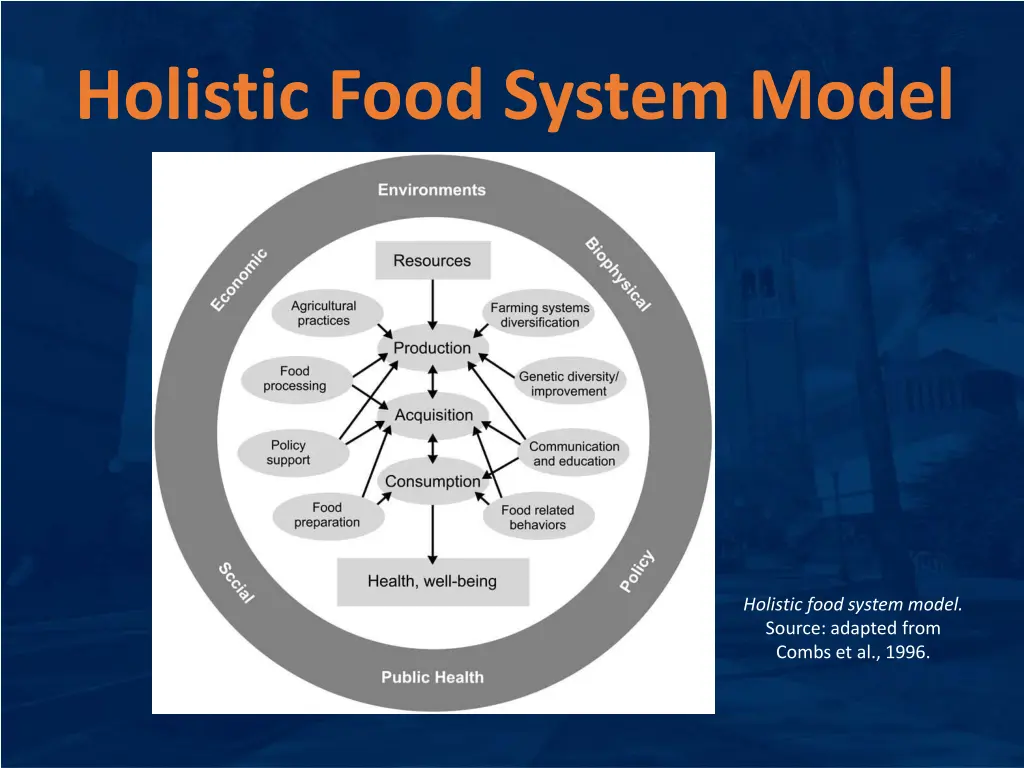 holistic food system model 1