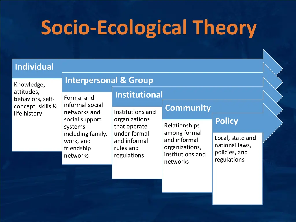 socio ecological theory