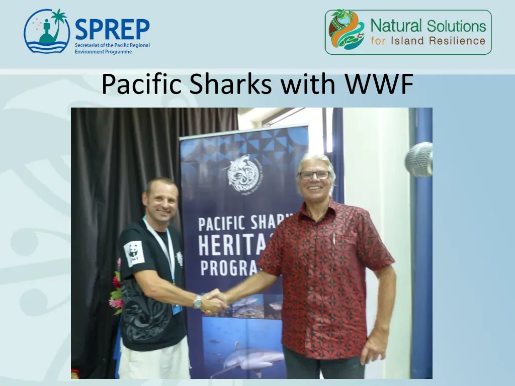 pacific sharks with wwf