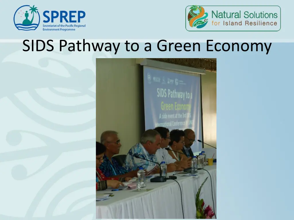 sids pathway to a green economy