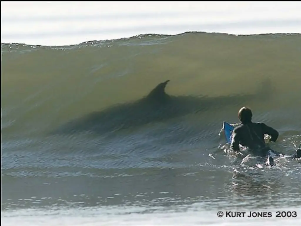 some surfers may be a little flaky but they care