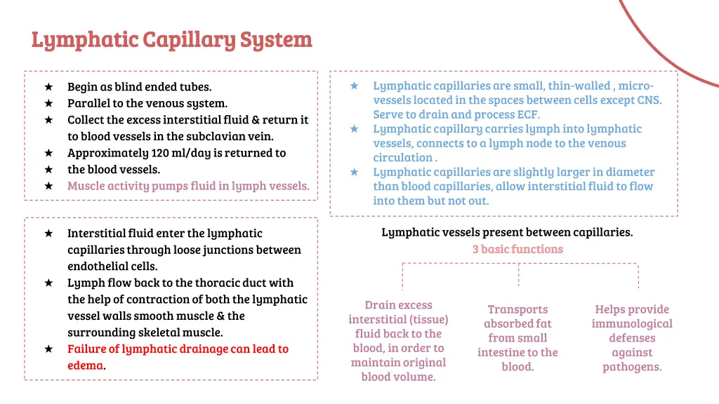 lymphatic capillary system lymphatic capillary