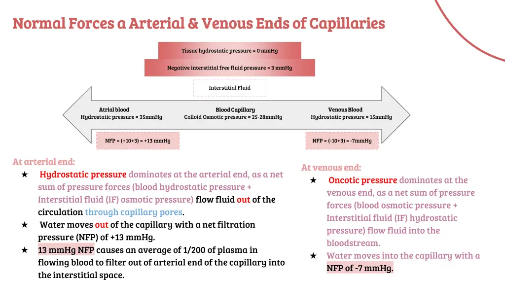 normal forces a arterial venous ends