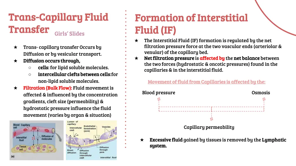 trans trans capillary fluid capillary fluid