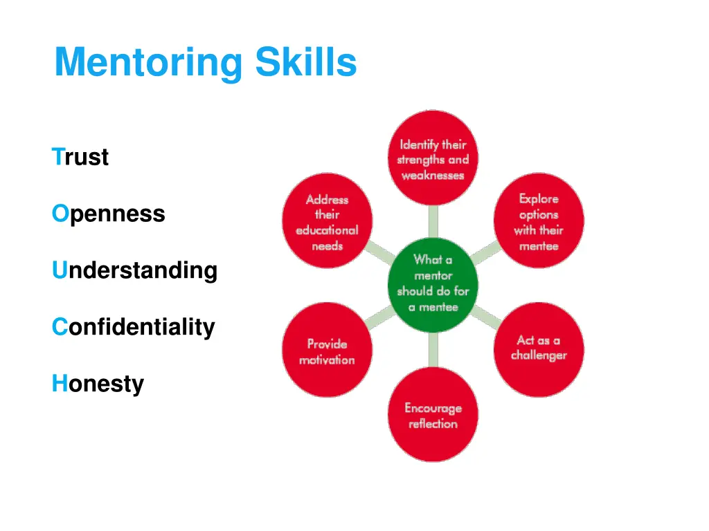 mentoring skills