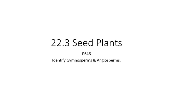 22 3 seed plants