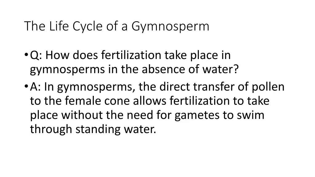 the life cycle of a gymnosperm