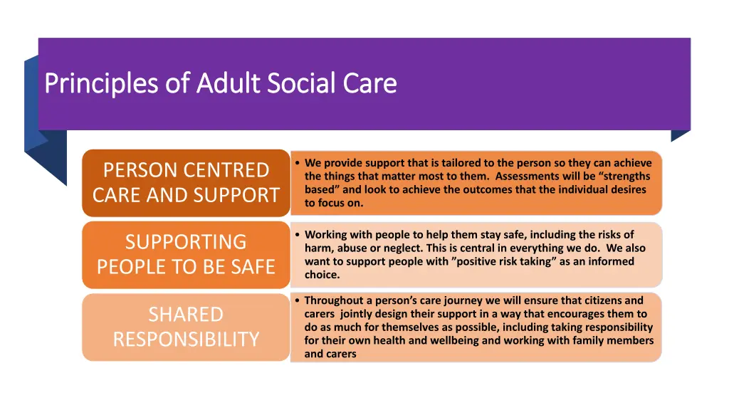 principles of adult social care principles