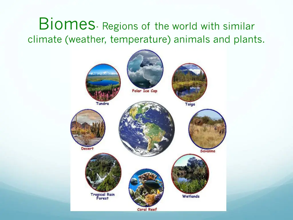 biomes regions of the world with similar climate