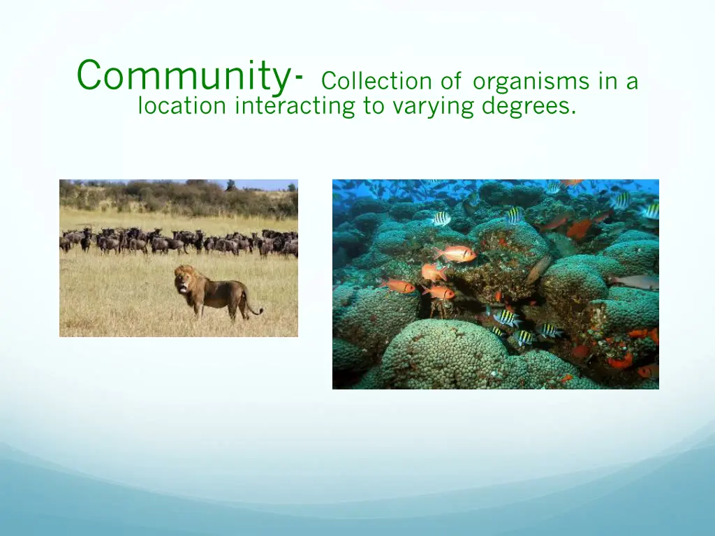 community collection of organisms in a location