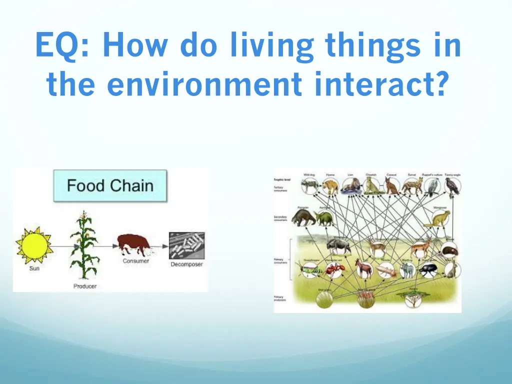 eq how do living things in the environment