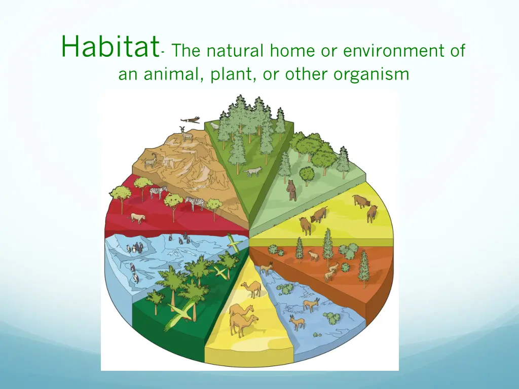 habitat the natural home or environment